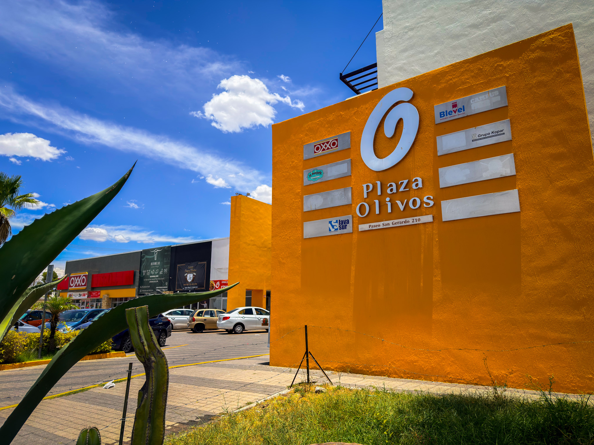 Fachada Plaza Olivos