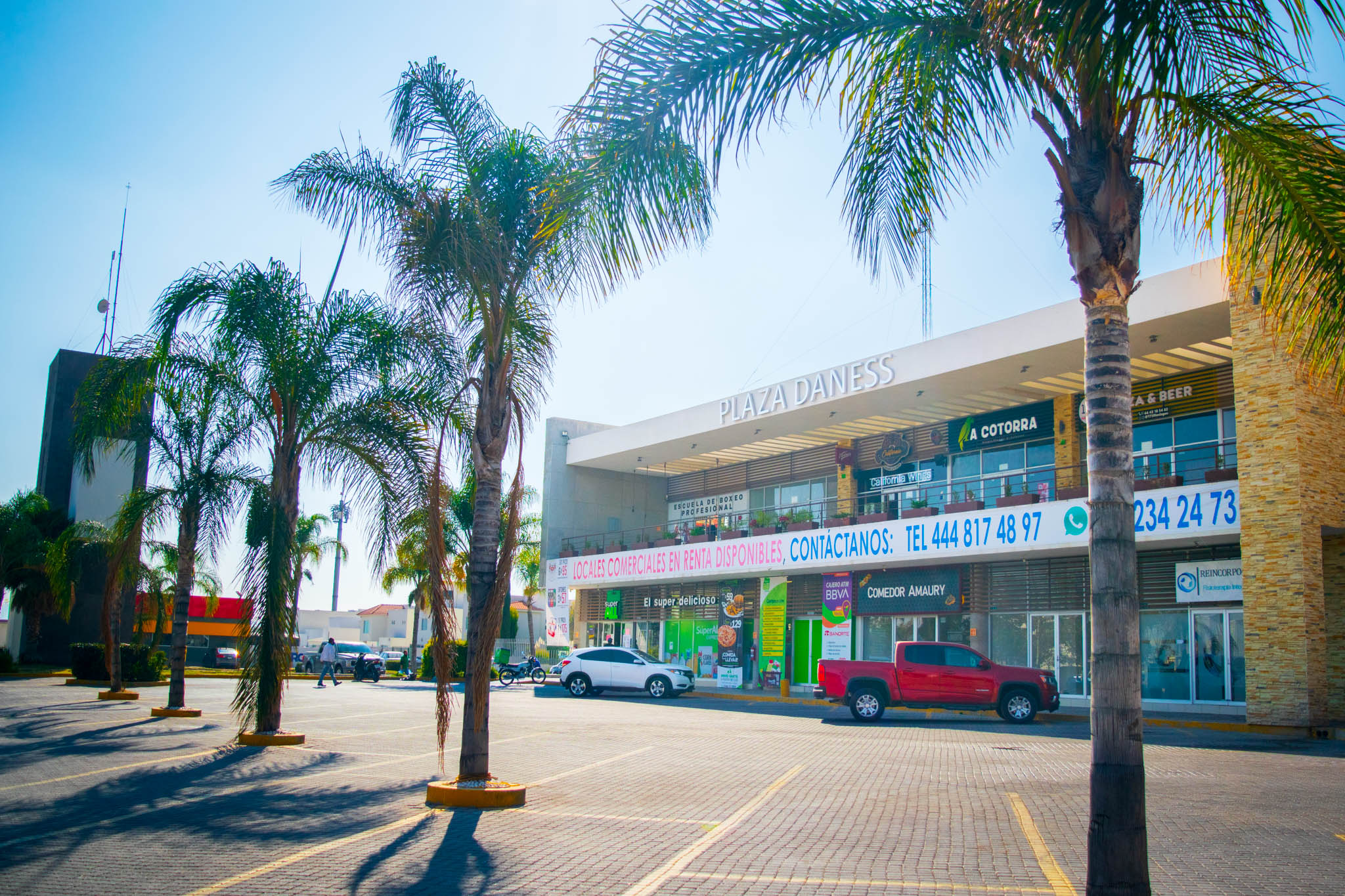 Galería Plaza Danes